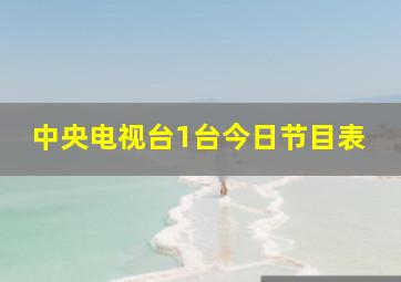 中央电视台1台今日节目表