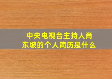 中央电视台主持人肖东坡的个人简历是什么