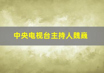 中央电视台主持人魏巍