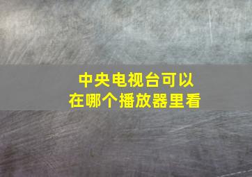 中央电视台可以在哪个播放器里看