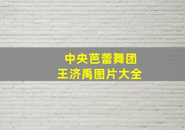 中央芭蕾舞团王济禹图片大全