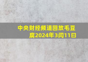 中央财经频道回放毛豆腐2024年3闫11曰