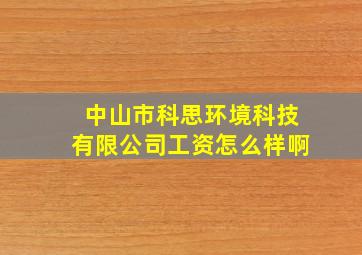 中山市科思环境科技有限公司工资怎么样啊