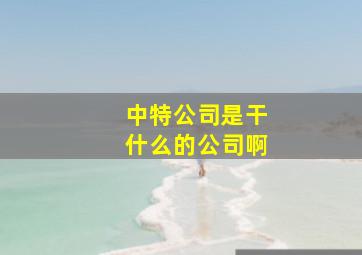 中特公司是干什么的公司啊