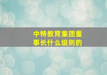 中特教育集团董事长什么级别的