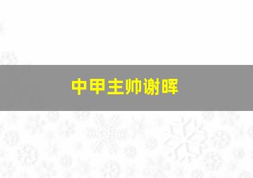 中甲主帅谢晖