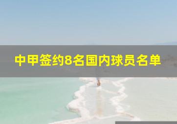 中甲签约8名国内球员名单