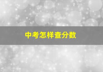 中考怎样查分数