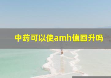 中药可以使amh值回升吗