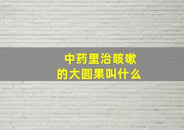 中药里治咳嗽的大圆果叫什么