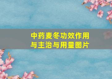 中药麦冬功效作用与主治与用量图片