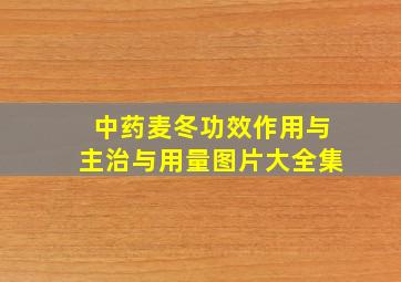 中药麦冬功效作用与主治与用量图片大全集