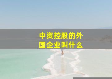 中资控股的外国企业叫什么