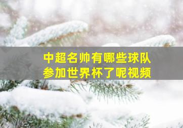 中超名帅有哪些球队参加世界杯了呢视频