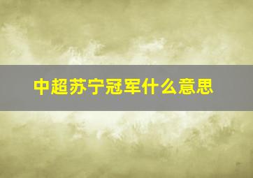 中超苏宁冠军什么意思