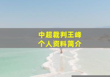 中超裁判王峰个人资料简介