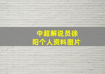 中超解说员徐阳个人资料图片