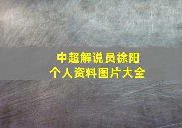 中超解说员徐阳个人资料图片大全