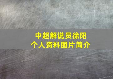 中超解说员徐阳个人资料图片简介