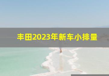 丰田2023年新车小排量