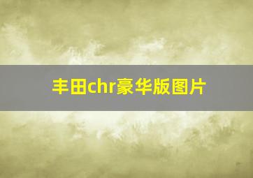 丰田chr豪华版图片