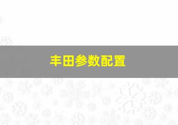 丰田参数配置