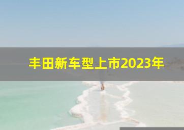 丰田新车型上市2023年