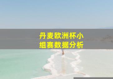 丹麦欧洲杯小组赛数据分析