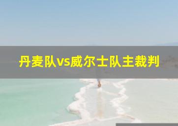 丹麦队vs威尔士队主裁判