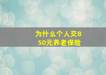 为什么个人交850元养老保险