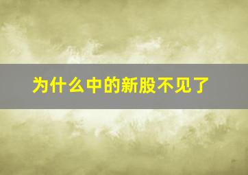 为什么中的新股不见了