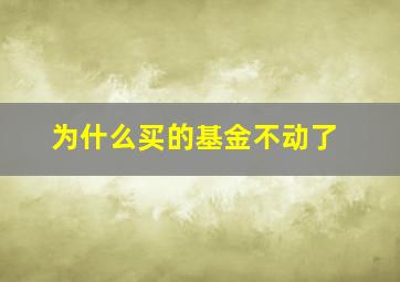 为什么买的基金不动了