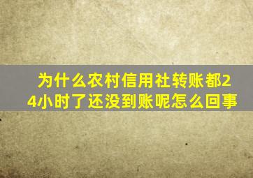 为什么农村信用社转账都24小时了还没到账呢怎么回事