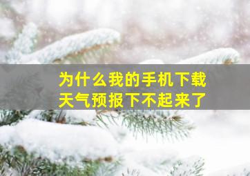 为什么我的手机下载天气预报下不起来了