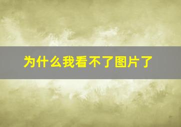 为什么我看不了图片了