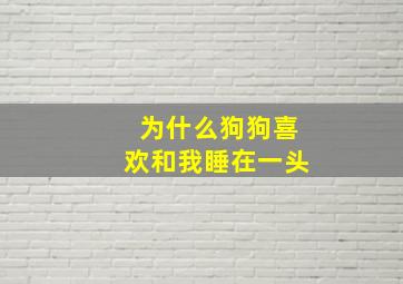 为什么狗狗喜欢和我睡在一头