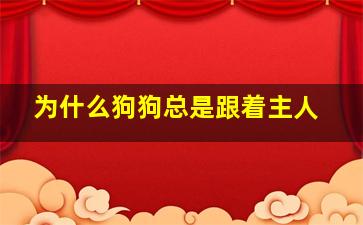 为什么狗狗总是跟着主人