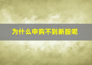 为什么申购不到新股呢