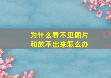 为什么看不见图片和放不出来怎么办