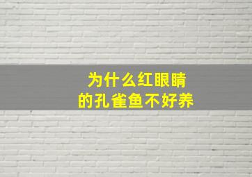 为什么红眼睛的孔雀鱼不好养