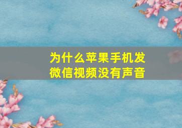 为什么苹果手机发微信视频没有声音