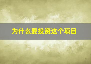 为什么要投资这个项目