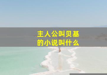 主人公叫贝基的小说叫什么