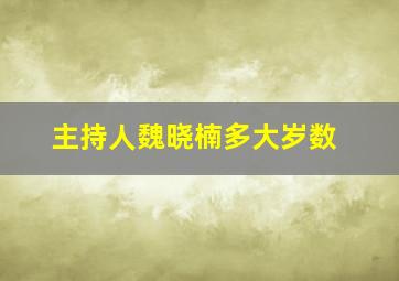 主持人魏晓楠多大岁数