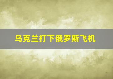 乌克兰打下俄罗斯飞机