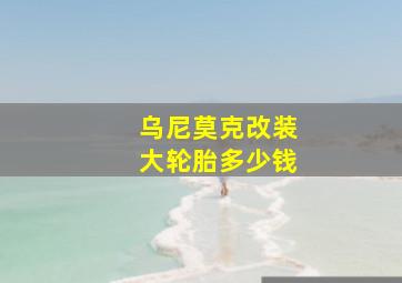 乌尼莫克改装大轮胎多少钱