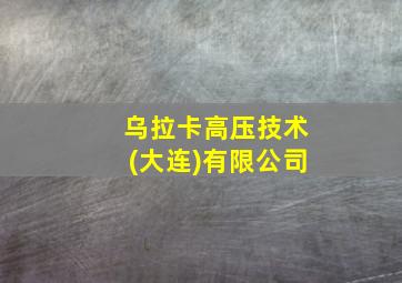 乌拉卡高压技术(大连)有限公司