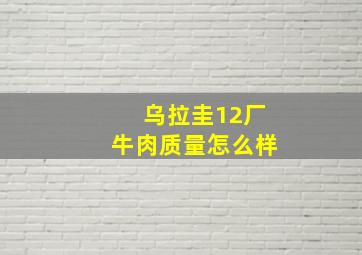 乌拉圭12厂牛肉质量怎么样