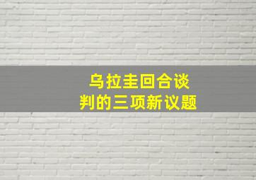 乌拉圭回合谈判的三项新议题