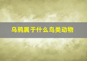 乌鸦属于什么鸟类动物